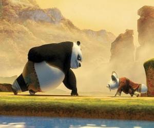yapboz Kung Fu Panda bir antrenör ve Fu ustası Shifu Doğum